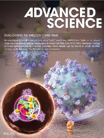 Dual-Locking the SARS-CoV-2 Spike Trimer: An Amphipathic Molecular “Bolt” Stabilizes Conserved Druggable Interfaces for Coronavirus Inhibition