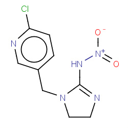 imidacloprid