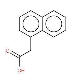 α-naphthaleneacetic acid