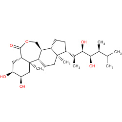 brassinolide