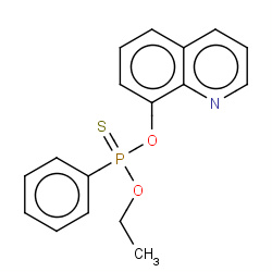 quintiofos