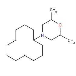 dodemorph