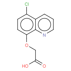 cloquintocet