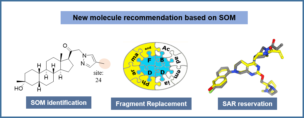 Molecular Optimization