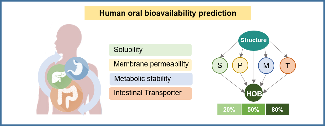Oral Bioavailability Prediction