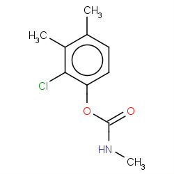 carbanolate