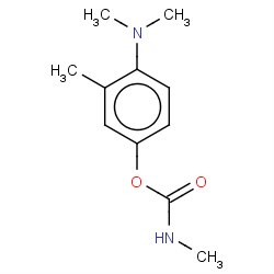 aminocarb