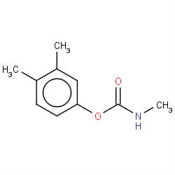 xylylcarb